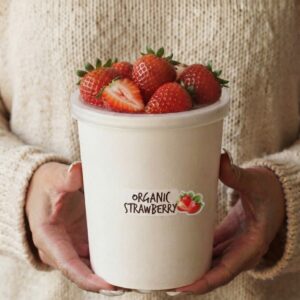 Vegan ice cream